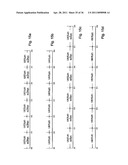 Synchronized Express and Local Trains for Urban Commuter Rail Systems diagram and image