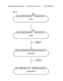 Producing process of sterile plants, plants obtained by the process, and use of the plants diagram and image