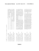 PLANTS HAVING ENHANCED YIELD-RELATED TRAITS AND A METHOD FOR MAKING THE SAME diagram and image