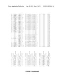 PLANTS HAVING ENHANCED YIELD-RELATED TRAITS AND A METHOD FOR MAKING THE SAME diagram and image