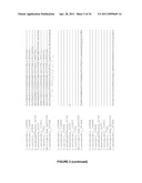 PLANTS HAVING ENHANCED YIELD-RELATED TRAITS AND A METHOD FOR MAKING THE SAME diagram and image