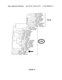 PLANTS HAVING ENHANCED YIELD-RELATED TRAITS AND A METHOD FOR MAKING THE SAME diagram and image