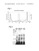 NUCLEOTIDE SEQUENCES CODING FOR CIS-ACONITIC DECARBOXYLASE AND USE THEREOF diagram and image