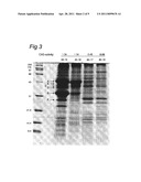 NUCLEOTIDE SEQUENCES CODING FOR CIS-ACONITIC DECARBOXYLASE AND USE THEREOF diagram and image