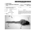 ANIMAL EXERCISE APPARATUS AND METHOD OF MANUFACTURE diagram and image