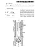 DOWNHOLE CHEMICAL DELIVERY SYSTEM AND METHOD diagram and image