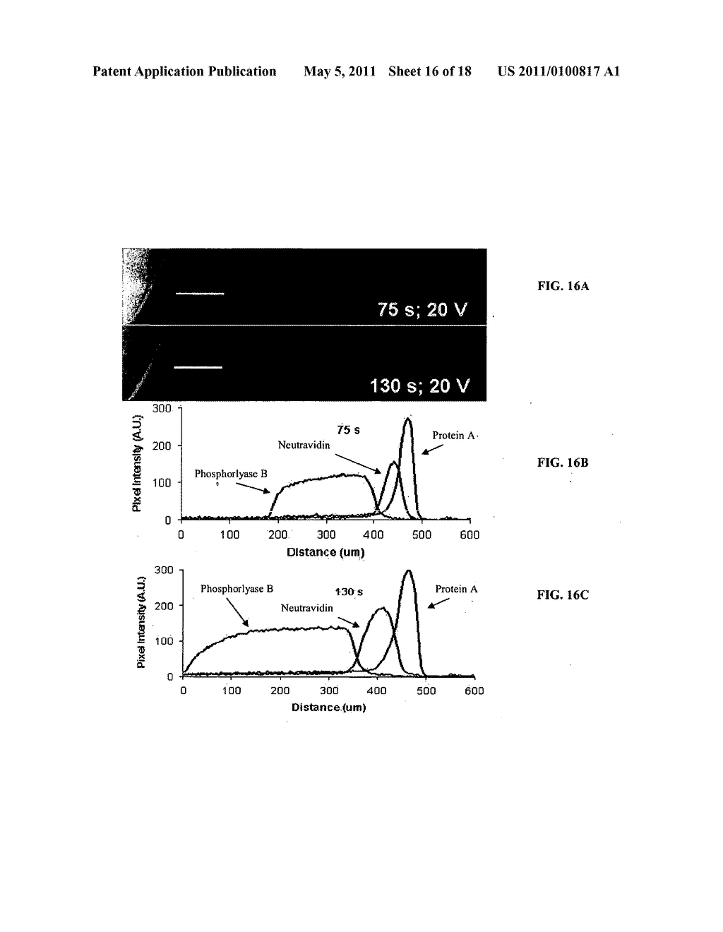 MICROFLUIDIC DEVICES AND METHODS OF USING SAME - diagram, schematic, and image 17