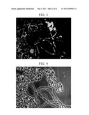 METHOD FOR DETERMINING PHYSIOLOGICAL STATE OF MICROBIAL COMMUNITY AND WASTEWATER TREATMENT METHOD diagram and image