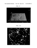METHOD FOR DETERMINING PHYSIOLOGICAL STATE OF MICROBIAL COMMUNITY AND WASTEWATER TREATMENT METHOD diagram and image