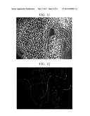 METHOD FOR DETERMINING PHYSIOLOGICAL STATE OF MICROBIAL COMMUNITY AND WASTEWATER TREATMENT METHOD diagram and image