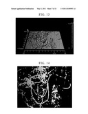 METHOD FOR DETERMINING PHYSIOLOGICAL STATE OF MICROBIAL COMMUNITY AND WASTEWATER TREATMENT METHOD diagram and image