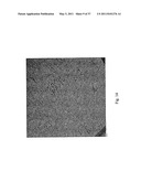 DOUBLY REDUCED PERYLENE-DIIMIDES AND SUPRAMOLECULAR POLYMERS DERIVED FROM PERYLENE-DIIMIDES diagram and image