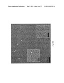 DOUBLY REDUCED PERYLENE-DIIMIDES AND SUPRAMOLECULAR POLYMERS DERIVED FROM PERYLENE-DIIMIDES diagram and image