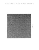 DOUBLY REDUCED PERYLENE-DIIMIDES AND SUPRAMOLECULAR POLYMERS DERIVED FROM PERYLENE-DIIMIDES diagram and image