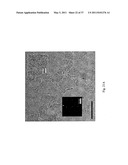 DOUBLY REDUCED PERYLENE-DIIMIDES AND SUPRAMOLECULAR POLYMERS DERIVED FROM PERYLENE-DIIMIDES diagram and image