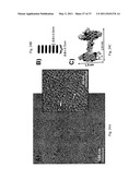 DOUBLY REDUCED PERYLENE-DIIMIDES AND SUPRAMOLECULAR POLYMERS DERIVED FROM PERYLENE-DIIMIDES diagram and image