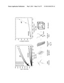 DOUBLY REDUCED PERYLENE-DIIMIDES AND SUPRAMOLECULAR POLYMERS DERIVED FROM PERYLENE-DIIMIDES diagram and image