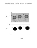 SYSTEMS AND METHODS FOR NEAR INFRA-RED OPTICAL INSPECTION diagram and image