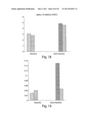 METHODS OF OBTAINING GEOMETRY FROM IMAGES diagram and image