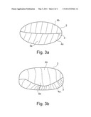 METHOD AND DEVICE FOR SEGMENTING MEDICAL IMAGE DATA diagram and image