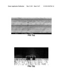 OPTICAL FILTERS BASED ON POLYMER ASYMMETRIC BRAGG COUPLERS AND ITS METHOD OF FABRICATION diagram and image