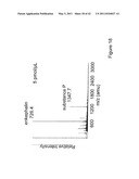 CALIBRATION PROCEDURES AND DEVICES FOR INVESTIGATION BIOLOGICAL SYSTEMS diagram and image