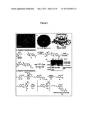 Chemically Modified Viral Capsids as Targeted Delivery Vectors for Diagnostic and Therapeutic Agents diagram and image