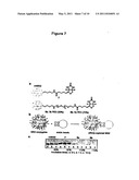 Chemically Modified Viral Capsids as Targeted Delivery Vectors for Diagnostic and Therapeutic Agents diagram and image