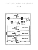 Chemically Modified Viral Capsids as Targeted Delivery Vectors for Diagnostic and Therapeutic Agents diagram and image