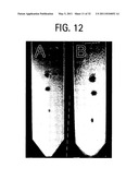 METHODS OF SYNTHESIS AND USE OF CHEMOSPHERES diagram and image