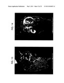 METHODS OF SYNTHESIS AND USE OF CHEMOSPHERES diagram and image