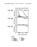 HUMAN IgM ANTIBODIES, AND DIAGNOSTIC AND THERAPEUTIC USES THEREOF PARTICULARLY IN THE CENTRAL NERVOUS SYSTEM diagram and image