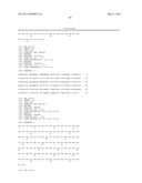 HUMAN IgM ANTIBODIES, AND DIAGNOSTIC AND THERAPEUTIC USES THEREOF PARTICULARLY IN THE CENTRAL NERVOUS SYSTEM diagram and image