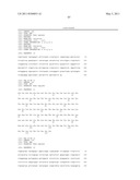 HUMAN IgM ANTIBODIES, AND DIAGNOSTIC AND THERAPEUTIC USES THEREOF PARTICULARLY IN THE CENTRAL NERVOUS SYSTEM diagram and image