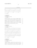 HUMAN IgM ANTIBODIES, AND DIAGNOSTIC AND THERAPEUTIC USES THEREOF PARTICULARLY IN THE CENTRAL NERVOUS SYSTEM diagram and image