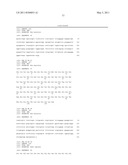 HUMAN IgM ANTIBODIES, AND DIAGNOSTIC AND THERAPEUTIC USES THEREOF PARTICULARLY IN THE CENTRAL NERVOUS SYSTEM diagram and image