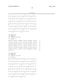 HUMAN IgM ANTIBODIES, AND DIAGNOSTIC AND THERAPEUTIC USES THEREOF PARTICULARLY IN THE CENTRAL NERVOUS SYSTEM diagram and image