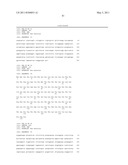 HUMAN IgM ANTIBODIES, AND DIAGNOSTIC AND THERAPEUTIC USES THEREOF PARTICULARLY IN THE CENTRAL NERVOUS SYSTEM diagram and image