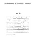 HUMAN IgM ANTIBODIES, AND DIAGNOSTIC AND THERAPEUTIC USES THEREOF PARTICULARLY IN THE CENTRAL NERVOUS SYSTEM diagram and image