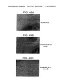 HUMAN IgM ANTIBODIES, AND DIAGNOSTIC AND THERAPEUTIC USES THEREOF PARTICULARLY IN THE CENTRAL NERVOUS SYSTEM diagram and image