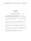 HUMAN IgM ANTIBODIES, AND DIAGNOSTIC AND THERAPEUTIC USES THEREOF PARTICULARLY IN THE CENTRAL NERVOUS SYSTEM diagram and image