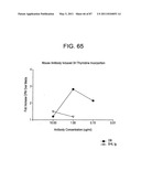 HUMAN IgM ANTIBODIES, AND DIAGNOSTIC AND THERAPEUTIC USES THEREOF PARTICULARLY IN THE CENTRAL NERVOUS SYSTEM diagram and image