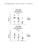 HUMAN IgM ANTIBODIES, AND DIAGNOSTIC AND THERAPEUTIC USES THEREOF PARTICULARLY IN THE CENTRAL NERVOUS SYSTEM diagram and image