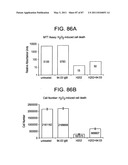 HUMAN IgM ANTIBODIES, AND DIAGNOSTIC AND THERAPEUTIC USES THEREOF PARTICULARLY IN THE CENTRAL NERVOUS SYSTEM diagram and image