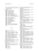 Novel [F-18]-labelled L-glutamic acid and L-glutamine derivatives (II), their use and processes for their preparation diagram and image