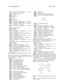 Novel [F-18]-labelled L-glutamic acid and L-glutamine derivatives (II), their use and processes for their preparation diagram and image