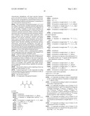 Novel [F-18]-labelled L-glutamic acid and L-glutamine derivatives (II), their use and processes for their preparation diagram and image