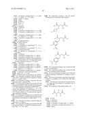 Novel [F-18]-labelled L-glutamic acid and L-glutamine derivatives (II), their use and processes for their preparation diagram and image