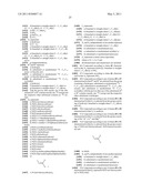 Novel [F-18]-labelled L-glutamic acid and L-glutamine derivatives (II), their use and processes for their preparation diagram and image