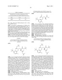 Novel [F-18]-labelled L-glutamic acid and L-glutamine derivatives (II), their use and processes for their preparation diagram and image